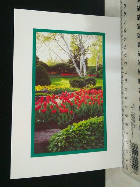 2 Blank greeting cards Carousel 2