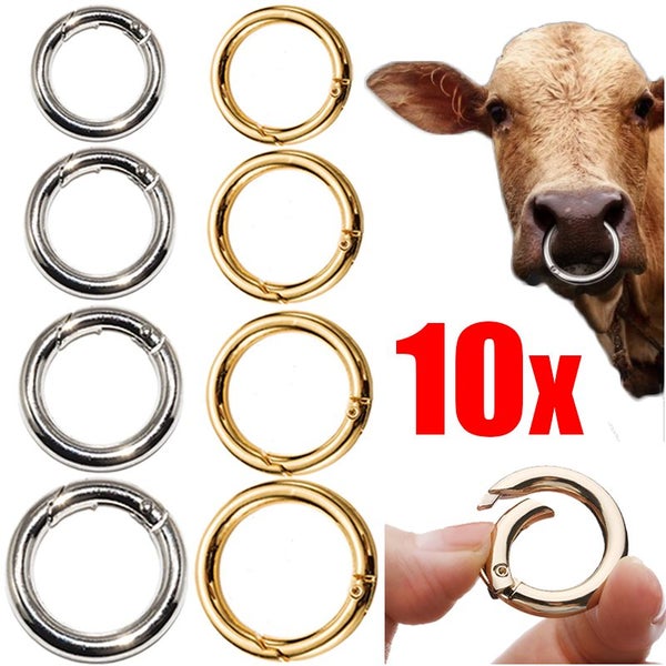 10Pcs/lot Metal O Ring Spring Clasps Openable Round Carabiner Carousel 2