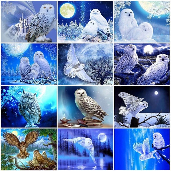 HUACAN 5d Diy Diamond Painting Owl Animal Diamond Art Full Drill Embroide CHK12N Carousel 2