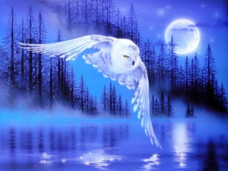 HUACAN 5d Diy Diamond Painting Owl Animal Diamond Art Full Drill Embroide CHK12N Carousel 1