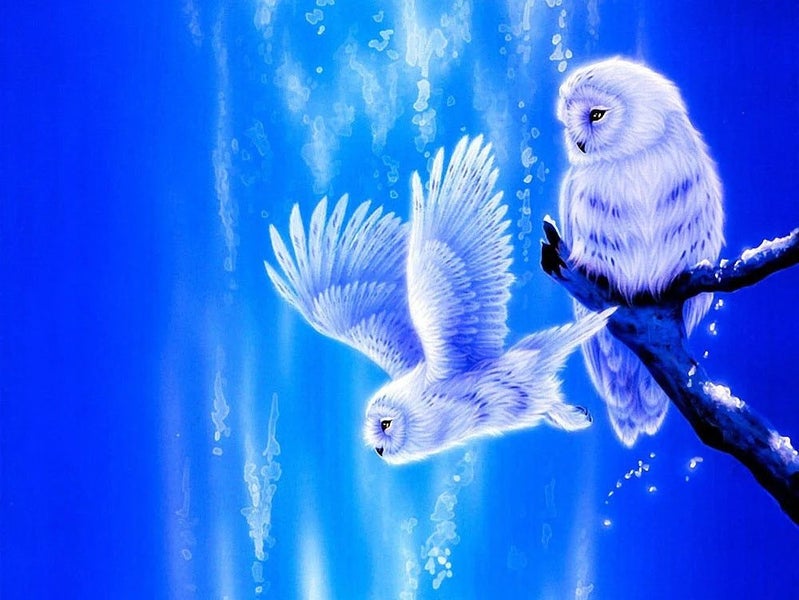 HUACAN 5d Diy Diamond Painting Owl Animal Diamond Art Full Drill Embroide CHK12N Carousel 1