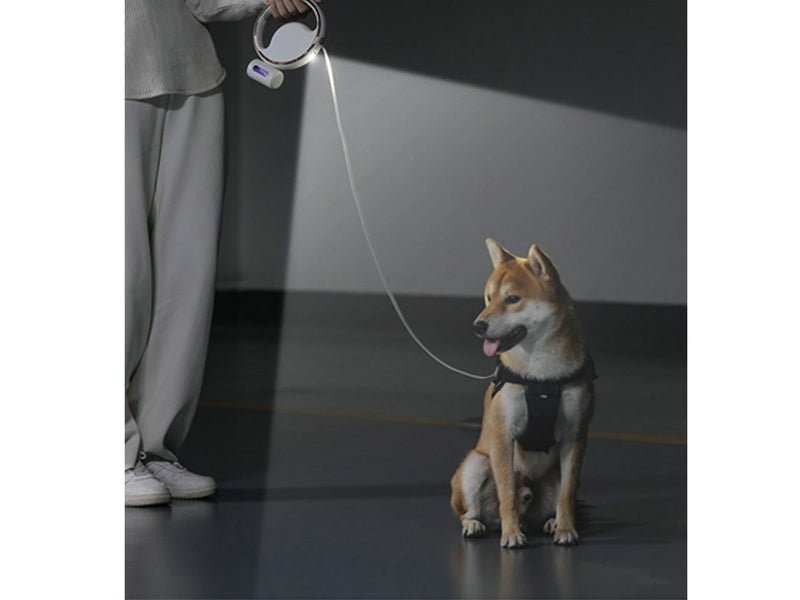 Dog Leash NZ Clearance Carousel 8