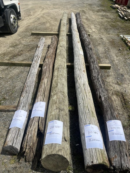 Wooden Poles Hardwood and Pine Carousel 1