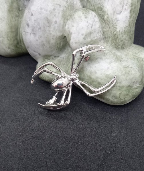 Silver spider Brooch Carousel 1