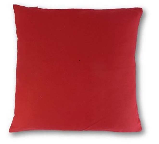 Cushion Cover : Red Carousel 1