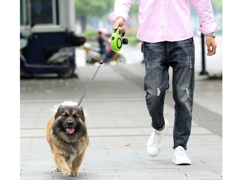 Dog Lead 8M NZ Clearance Carousel 2