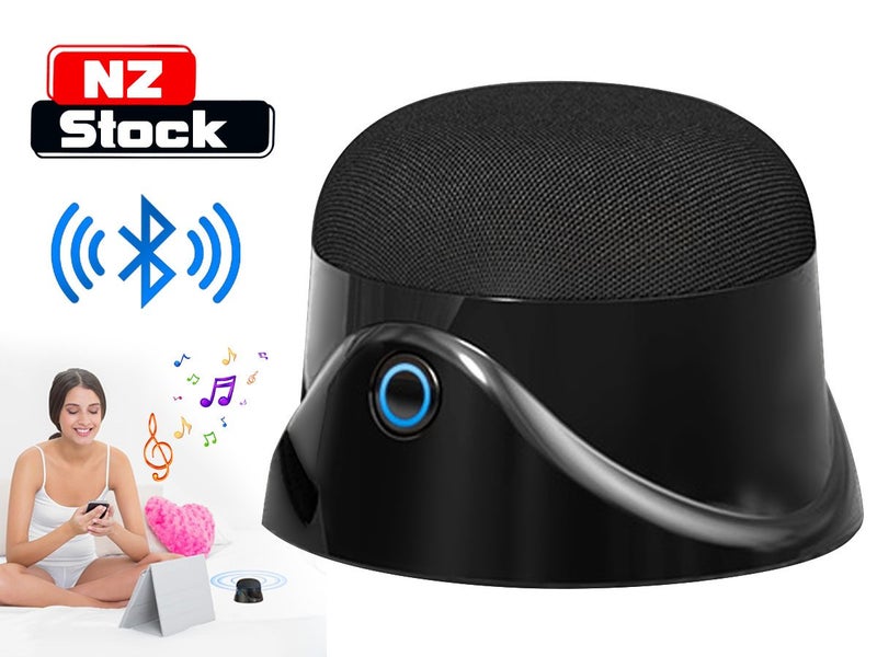 Bluetooth Speakers Magnetic Carousel 1