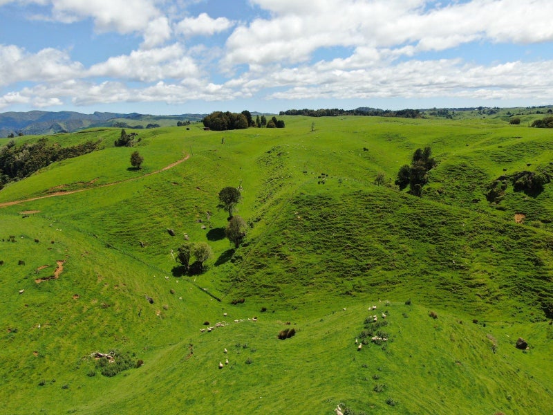 1474 Mangaotaki Road, Piopio, Waitomo, Waikato