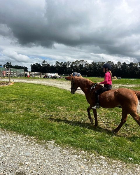 Ardlussa Equine