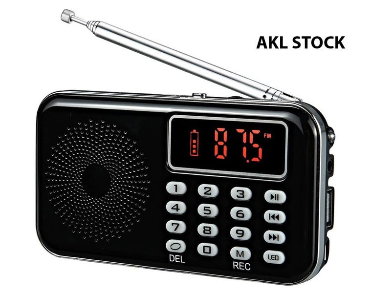 Portable Digital AM/FM Radio with Flashlight Carousel 1
