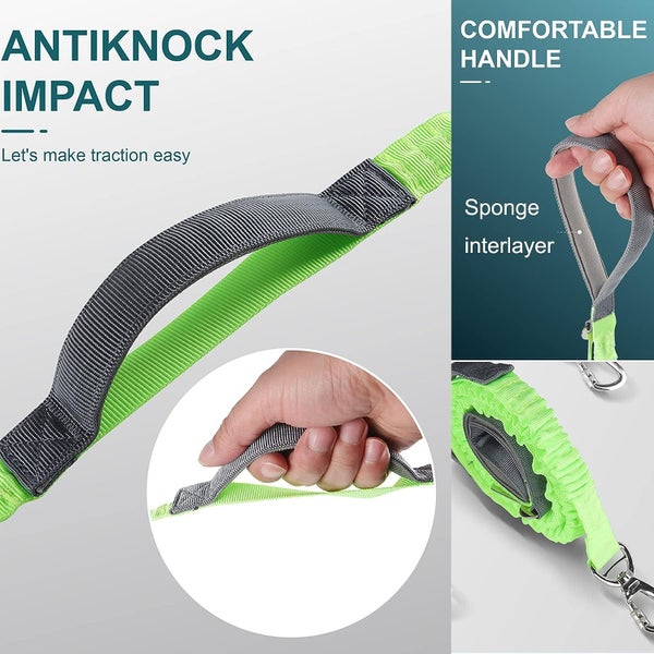 Dog Car Seatbelt New Carousel 6