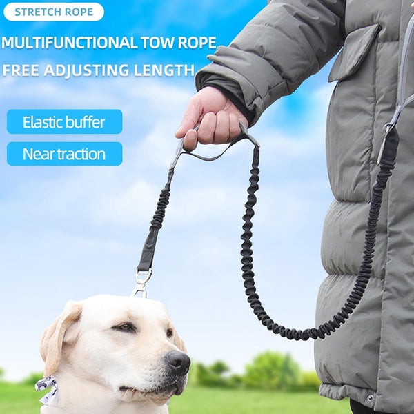 Dog Leash & Seatbelt New Carousel 1