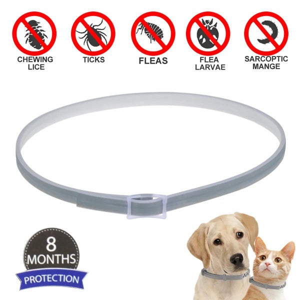 Dogs Mosquitoe Repellent Collar Pet Antiparasitic Anti Flea Tick Collar F CHK12N Carousel 2