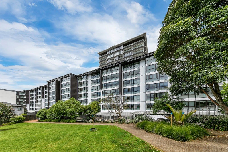16 Burton Street, Grafton, Auckland City, Auckland