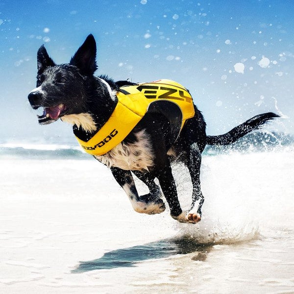 EZY DOG LIFE VEST JACKET FLOTATION DEVICE DFD X2 BOOST MEDIUM RED Carousel 2