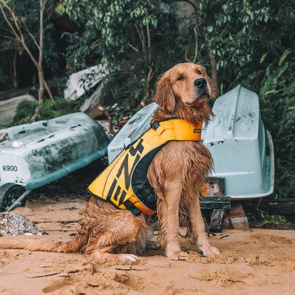 EZY DOG LIFE VEST JACKET FLOTATION DEVICE DFD X2 BOOST XTRA LARGE YELLOW Carousel 1