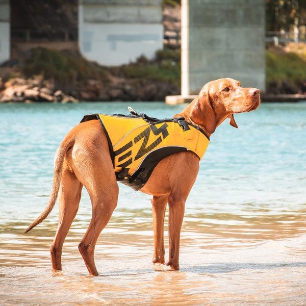 EZY DOG LIFE VEST JACKET FLOTATION DEVICE DFD X2 BOOST MEDIUM RED Carousel 10