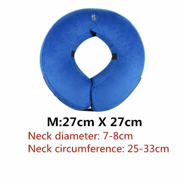 NEW Dog Collar - New Carousel 1