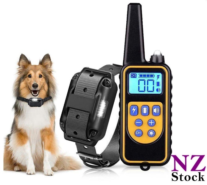 PTN NEW Dog Training Collar Sale Sale Carousel 14