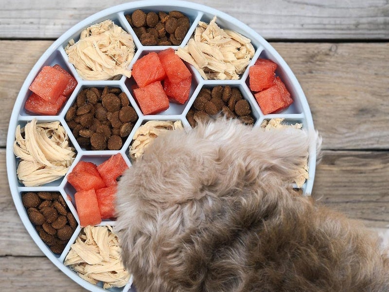 Dog Slow Feeder Bowl NZ Clearance Carousel 10