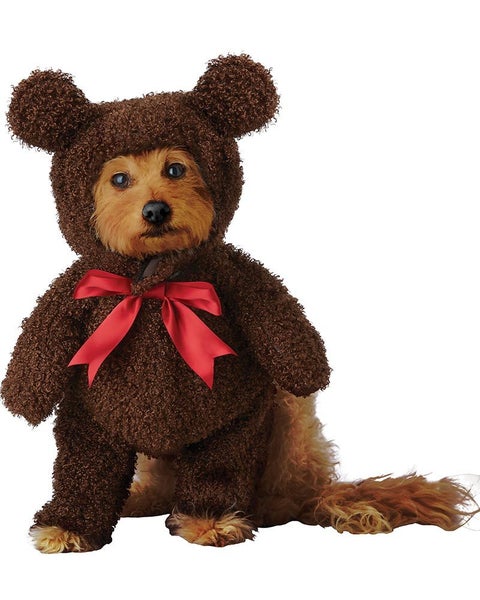 Teddy Bear Pet Costume Carousel 1