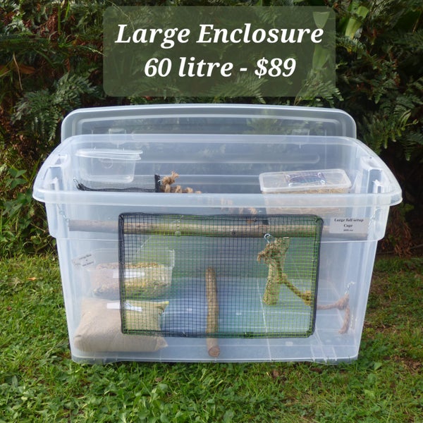 Large Mouse Enclosure Carousel 1