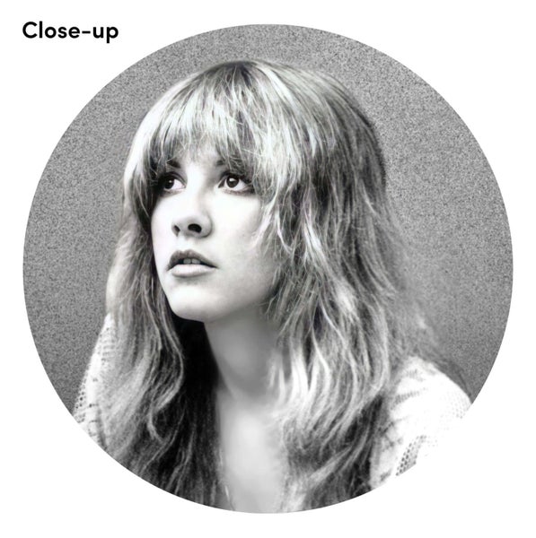 Stevie Nicks Art Print Carousel 2