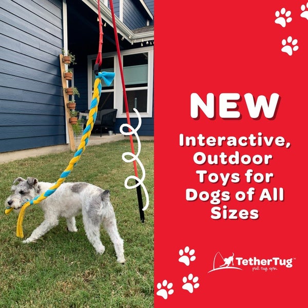TETHER TUG SMALL DOG & PUPPIES up to 16kg WITH INSIDE POLE Carousel 1