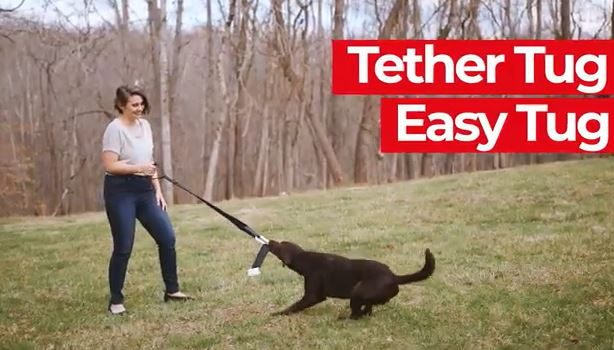 TETHER TUG EASY TUG with FLEECE TOY ATTACHMENT Carousel 1