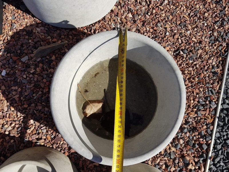 Dog Bowl Concrete - Large Carousel 2