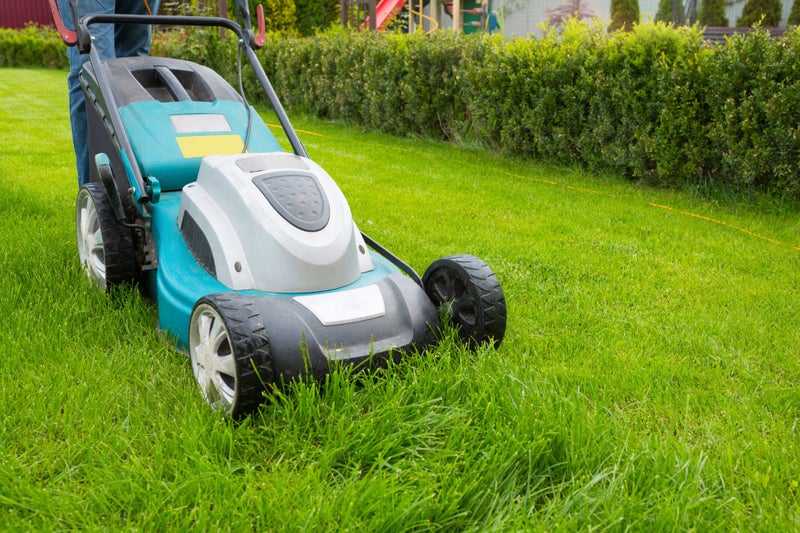 Lawn Mowing Services in East Auckland Manukau BidBud