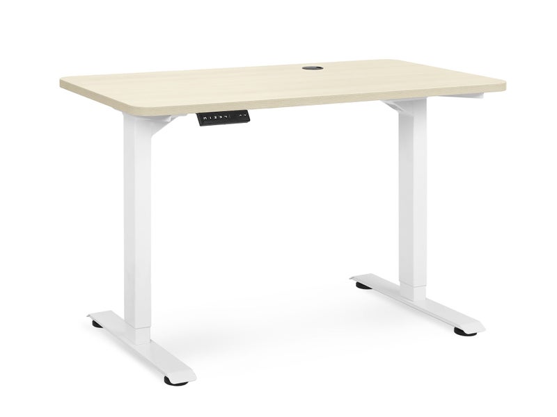 Standing Desk Carousel 2
