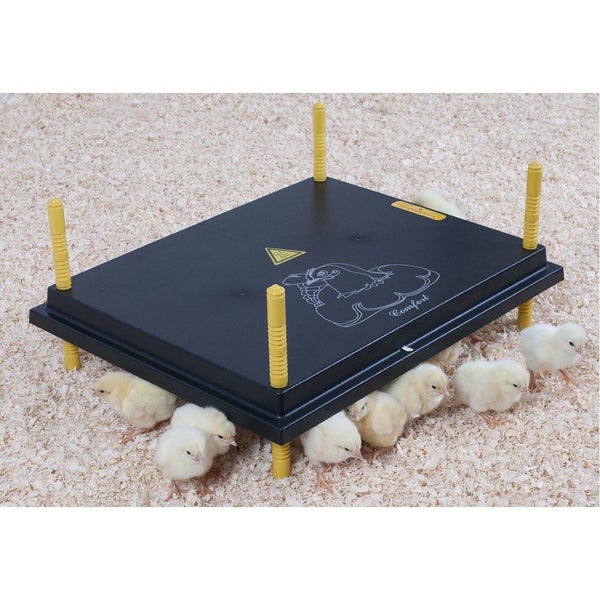 Comfort Heat Plate - 50cm x 40cm (40 to 45 chicks) Carousel 1