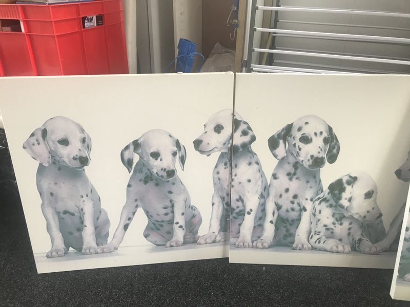 REDUCED - 3 art Dalmatian dogs (Kids) Carousel 2