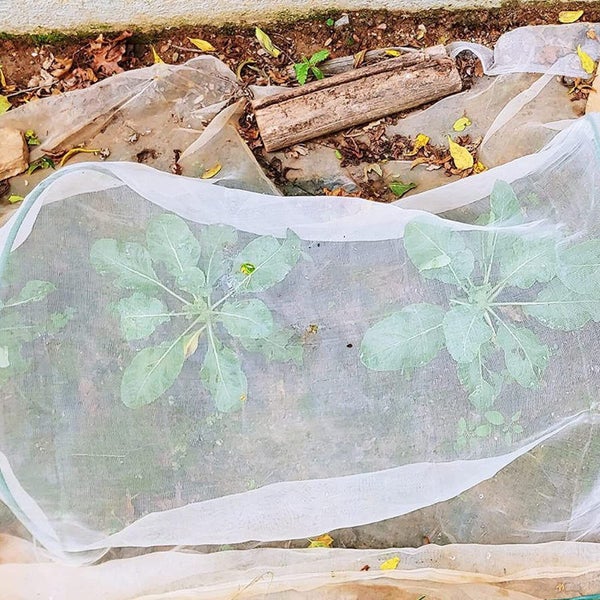 Garden Netting NZ Clearance Carousel 11