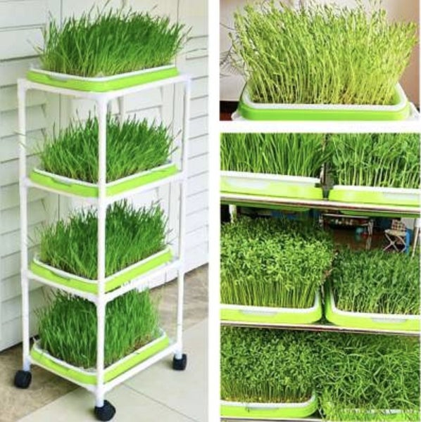 Microgreens Tray Stacker Storage Rack with 4 Seed Sprouting Trays Carousel 2