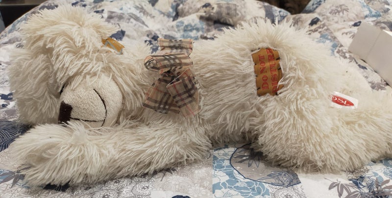 Sleeping teddy Carousel 1