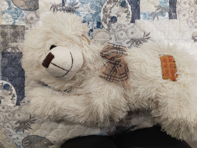 Sleeping teddy Carousel 2