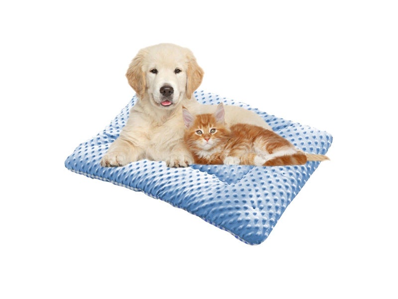 43x30cm Double-Sided Pet Bed Mat Sensory Pet Mat Pet Nest Pad - Blue Carousel 1