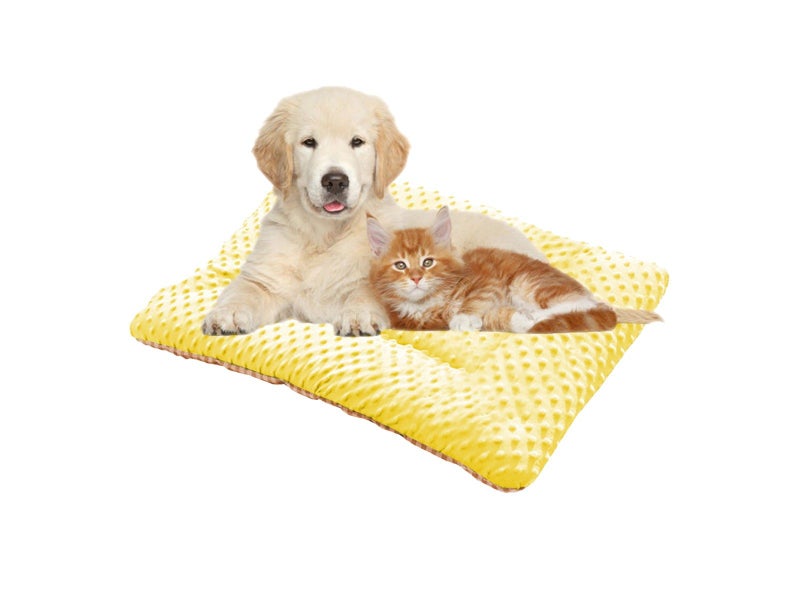 43x30cm Double-Sided Pet Bed Mat Sensory Pet Mat Pet Nest Pad - Orange Carousel 1