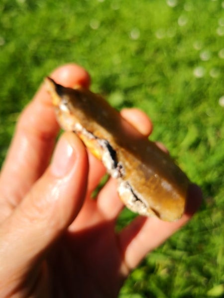 Plume Agate slab Stunning high quality from canterbury Carousel 2