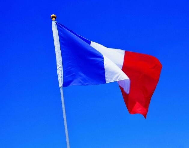 France Flag France national flag62934715963522111