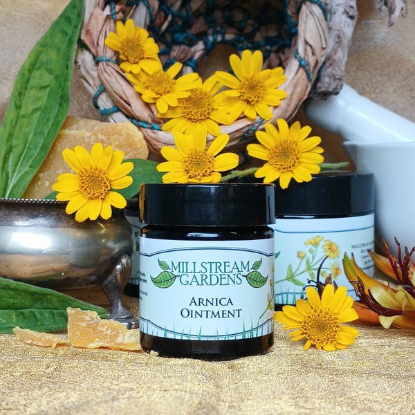 Arnica Ointment 1x 30mL Jar Carousel 1