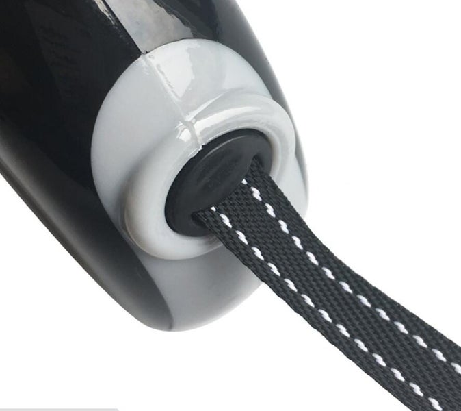 Retractable Dog Lead Extending 3M Carousel 3