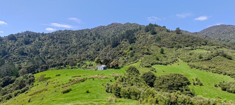 Image 1 of 13