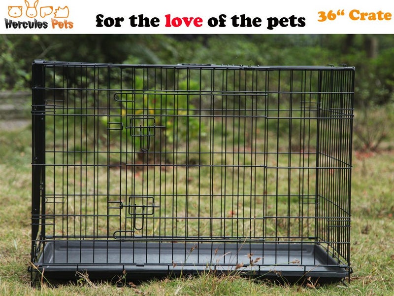 Dog Cage Collapsible Metal Crate 36" 91cm Carousel 2