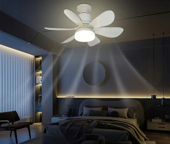 Socket Fan Light – Deluxe Model Warm Light Ceiling Fans with Lights Ceiling Fan Carousel 2