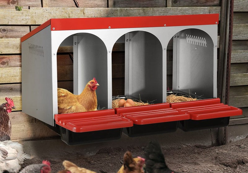 Chicken Nesting Box - New Carousel 1