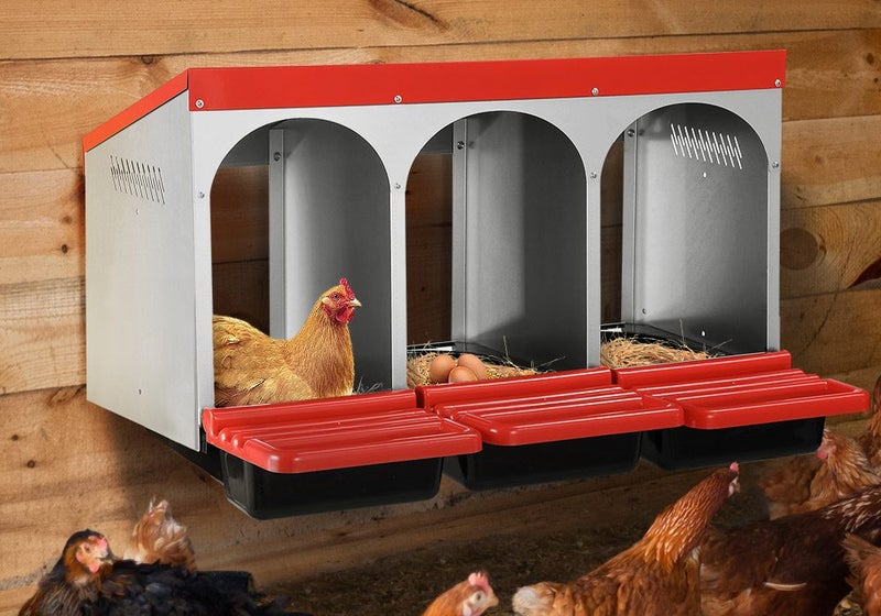Chicken Nesting Box - New Carousel 2