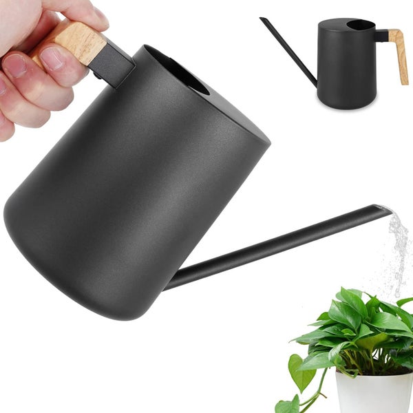 1000ml Plants Watering Can Stainless Steel Watering Pot with Long Spout and Wo Carousel 1